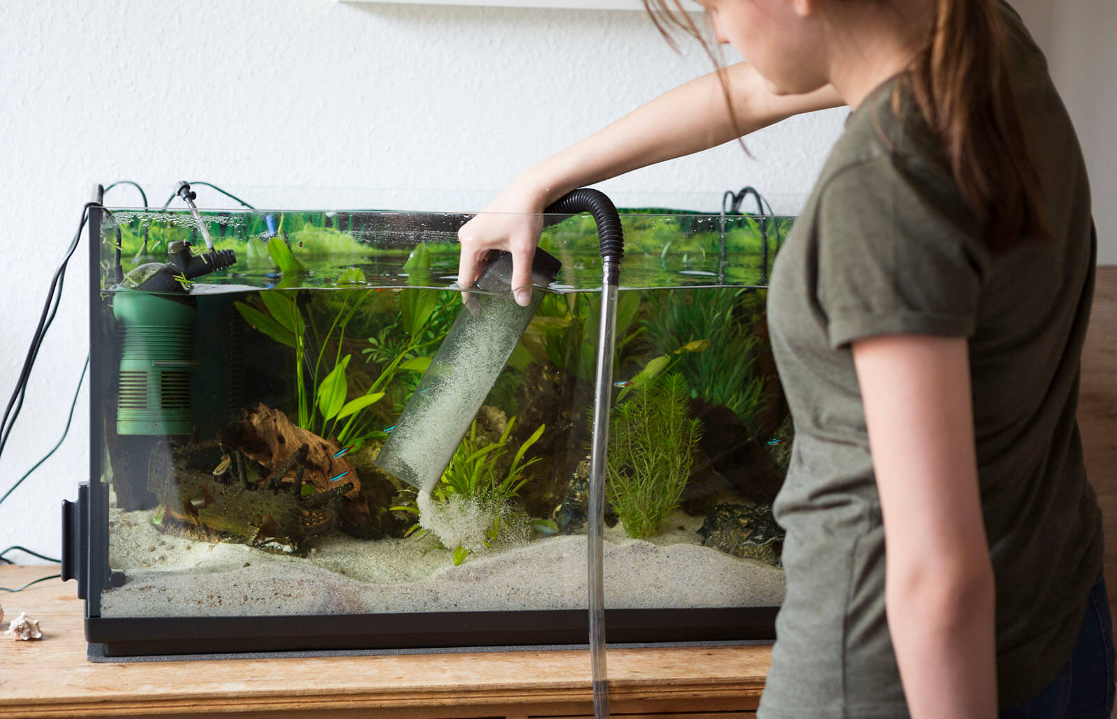 How to choose a fish tank cleaning service
